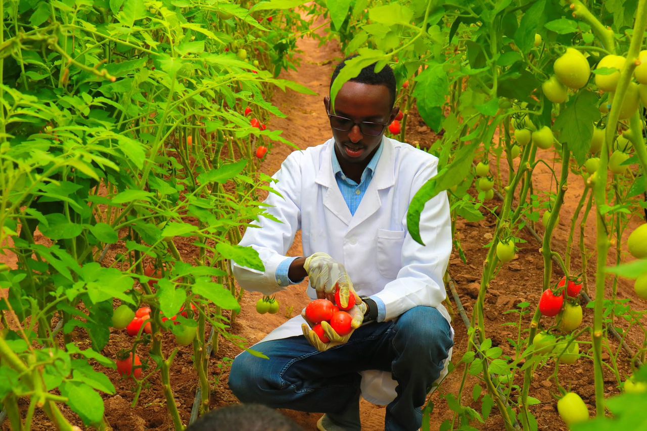 Climate-smart farming