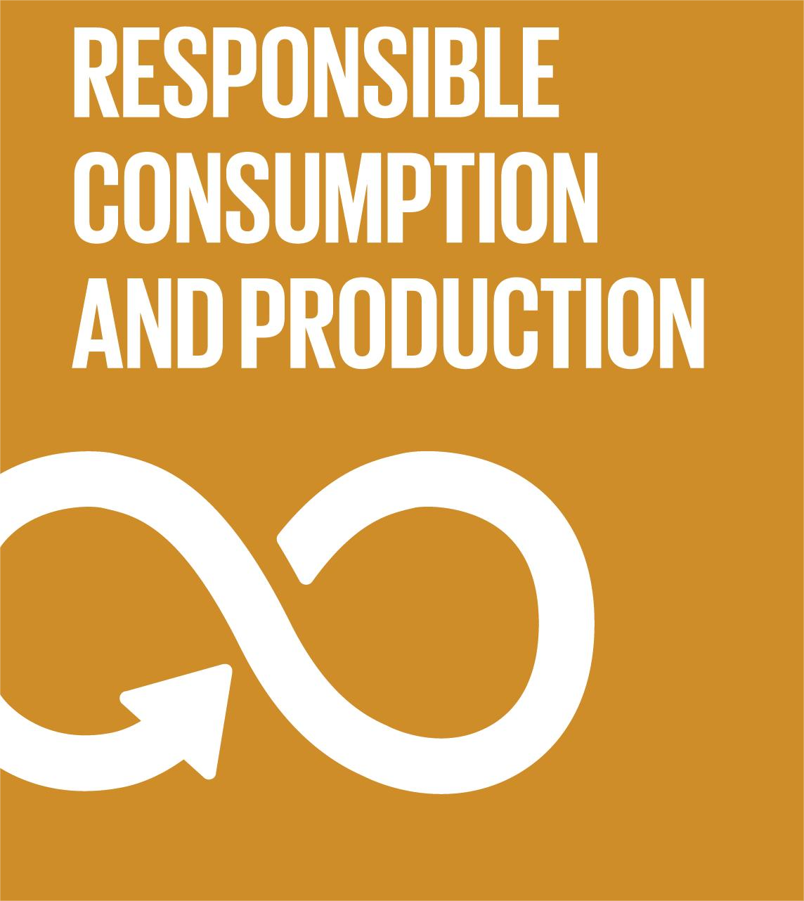 SDG 12: Responsible Consumption and Production