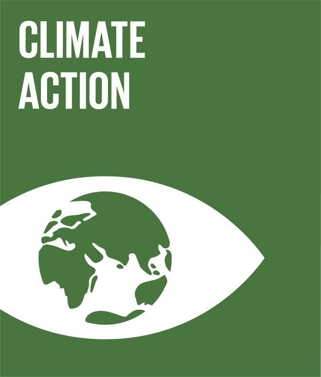 SDG 13: Climate Action