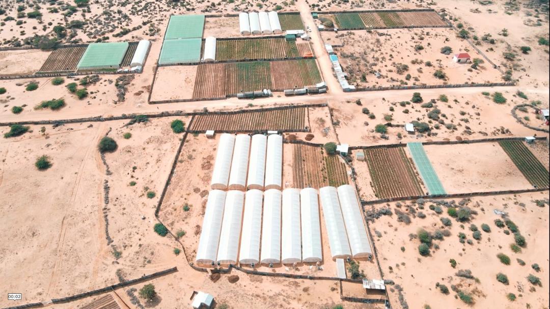 AECC Cooking Stove 10