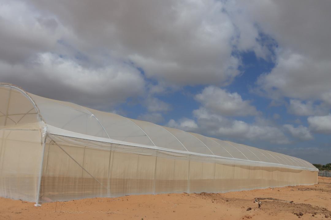 AECC Cooking Stove 11