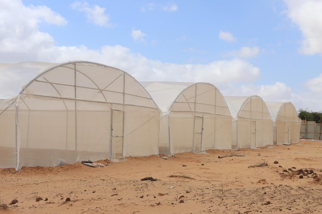 AECC Cooking Stove 14